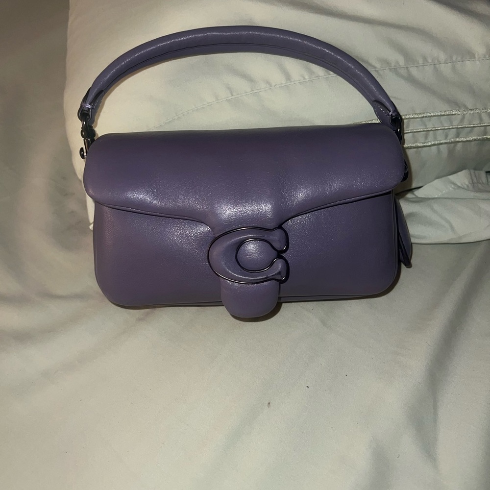 Mini Coach Pillow Tabby